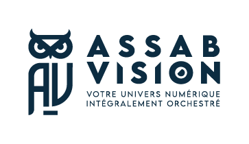 ASSAB VISION